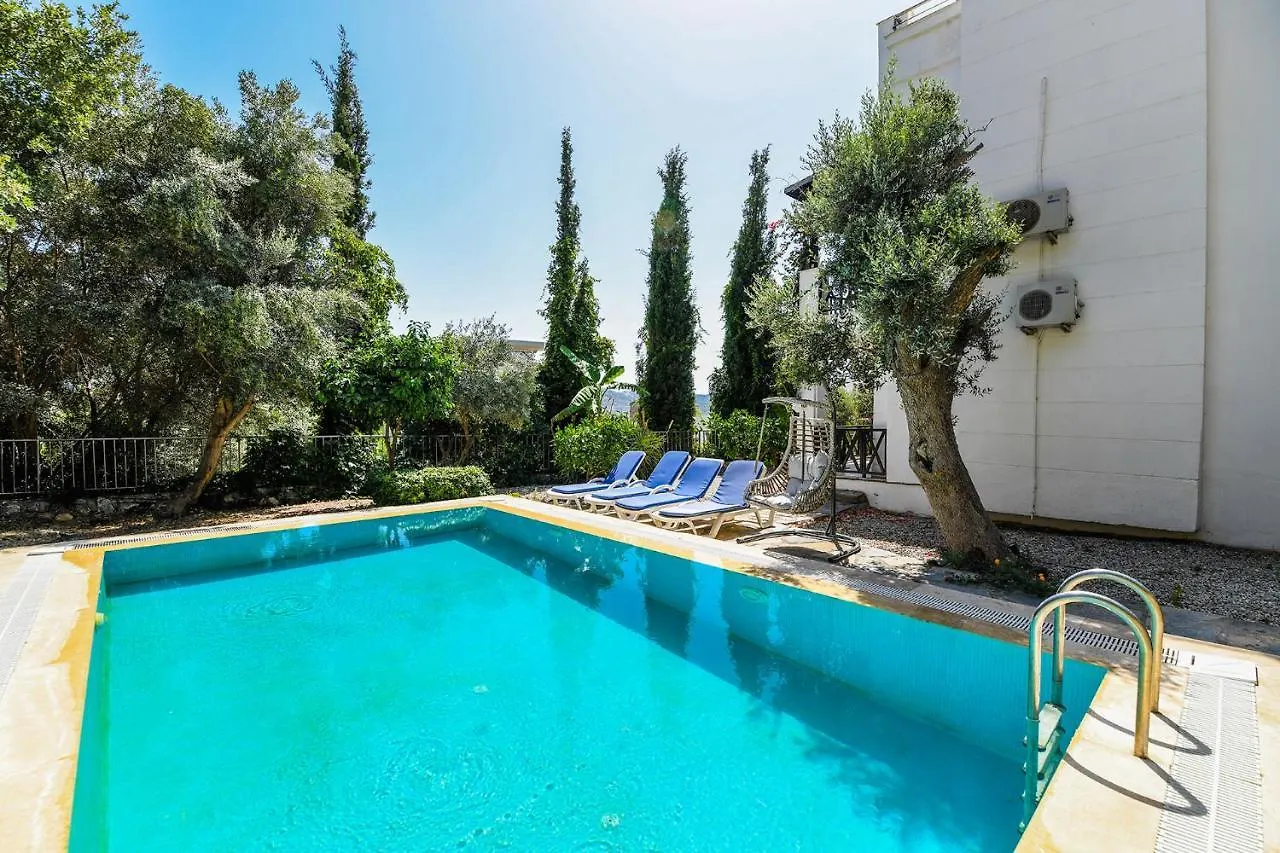 Villa Leo Bodrum Yalikavak