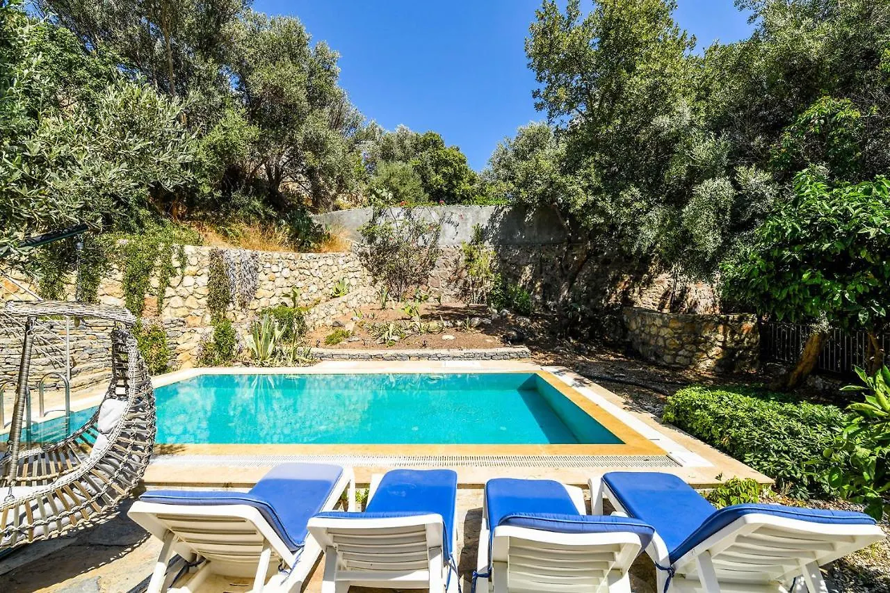 Villa Leo Bodrum Yalikavak Turkey