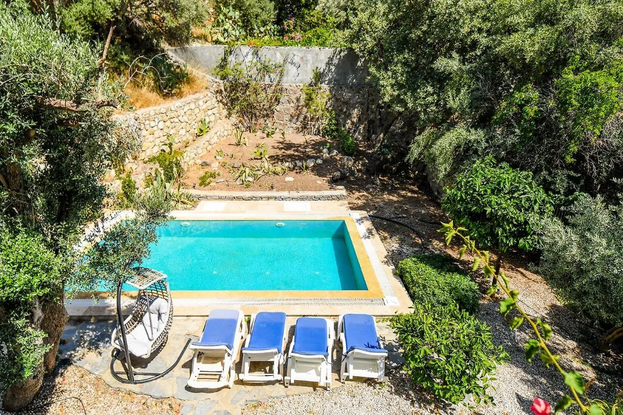 Villa Leo Bodrum Yalikavak 0*,