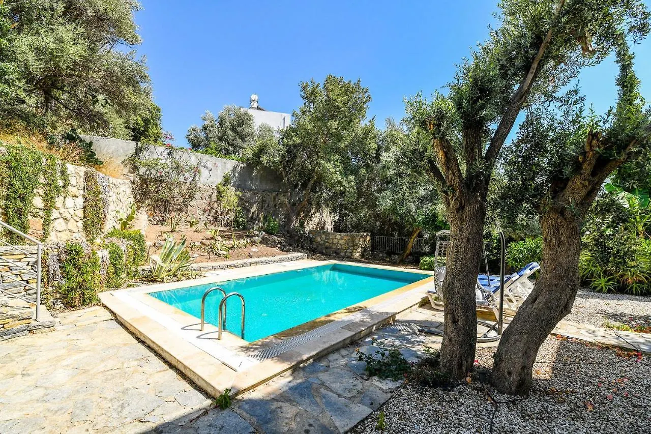 Villa Leo Bodrum Yalıkavak