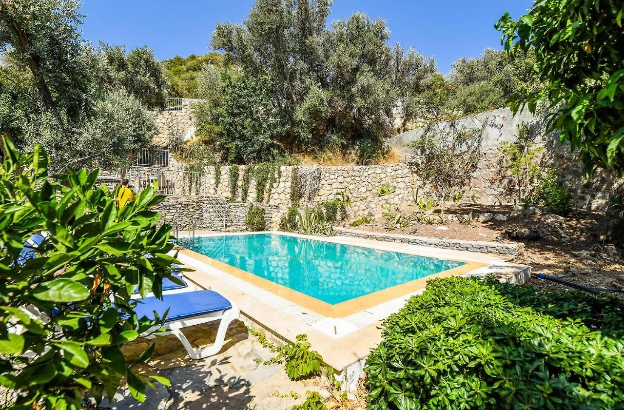 Villa Leo Bodrum Yalıkavak